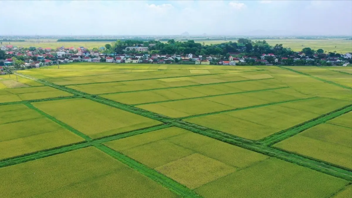 Miễn thuế sử dụng đất nông nghiệp thêm 5 năm